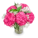 Bouquet of hydrangeas